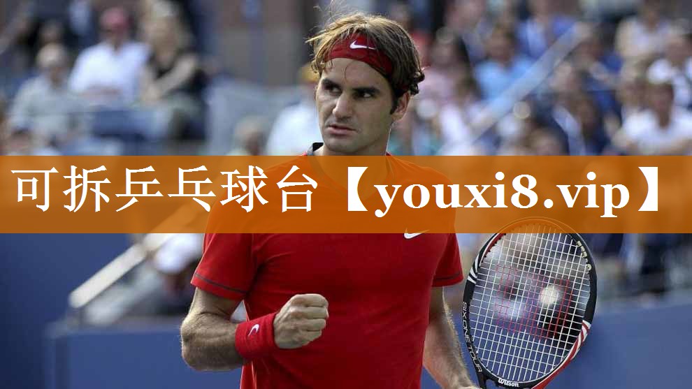 可拆乒乓球台
