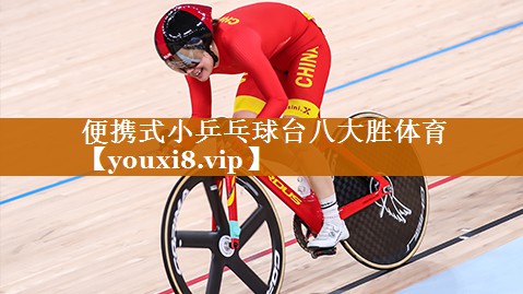 便携式小乒乓球台八大胜体育