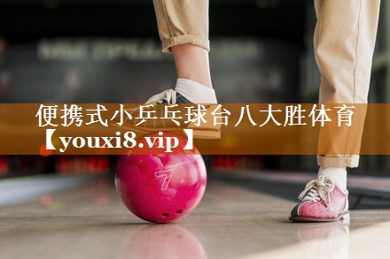 便携式小乒乓球台八大胜体育