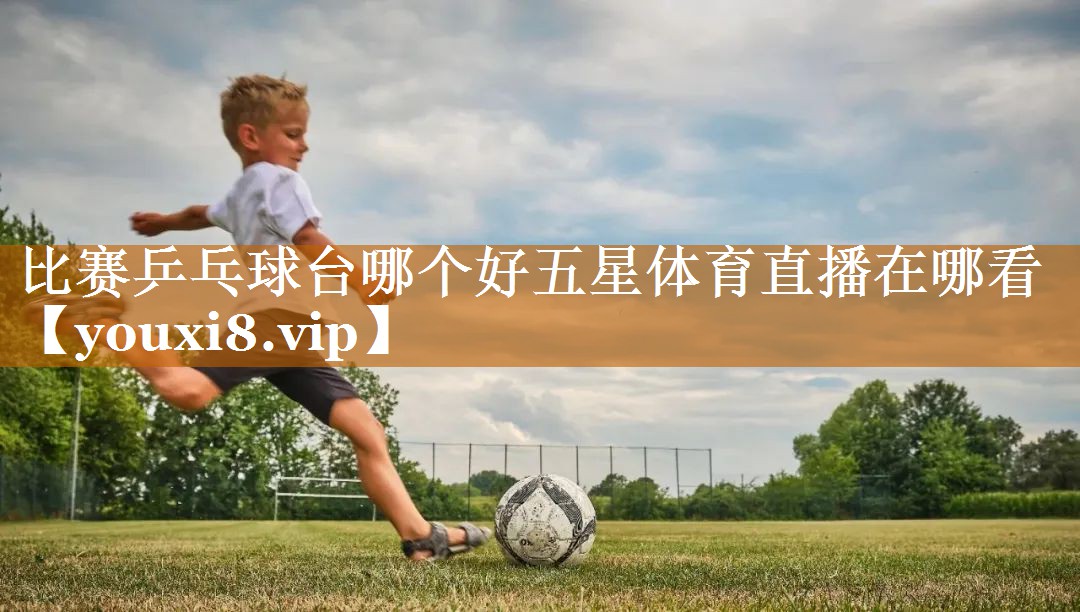 比赛乒乓球台哪个好五星体育直播在哪看