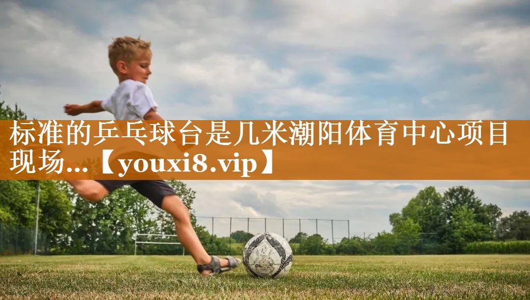 标准的乒乓球台是几米潮阳体育中心项目现场…