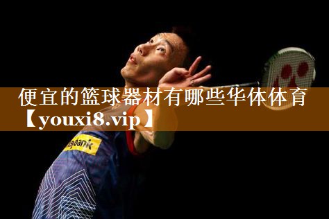 便宜的篮球器材有哪些华体体育