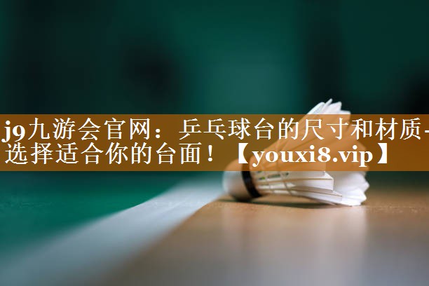 乒乓球台的尺寸和材质- 选择适合你的台面！