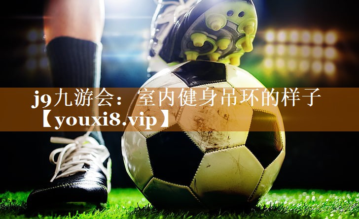 室内健身吊环的样子
