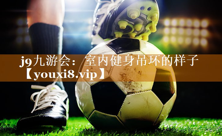j9九游会：室内健身吊环的样子