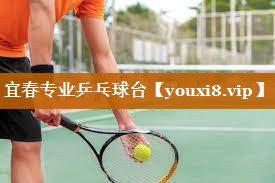 宜春专业乒乓球台