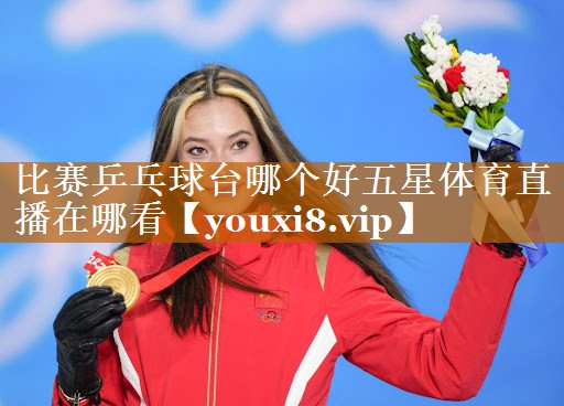 比赛乒乓球台哪个好五星体育直播在哪看